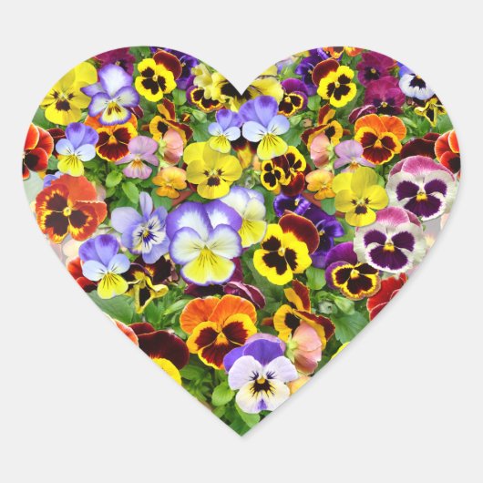 Kleurrijke Pansy Display Hart Hart Sticker (Voorkant)