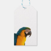 kleurrijke papegaai cadeaulabel (Achterkant)