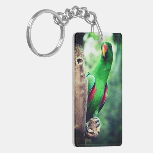 Kleurrijke papegaai Macaw Bird Sleutelhanger (Voorkant Links)