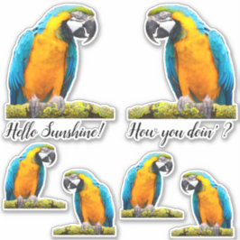 Kleurrijke papegaai op Aangepast kantoor Lichen Sticker