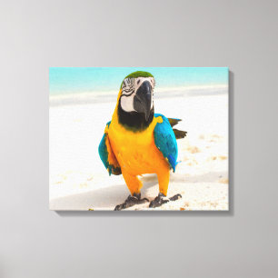 Kleurrijke papegaai op het witte zand canvas afdruk