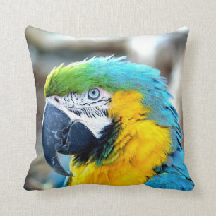 Kleurrijke papegaai - Pillow Kussen