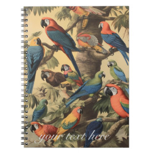 Kleurrijke papegaaien in een boom, vintage botanis notitieboek