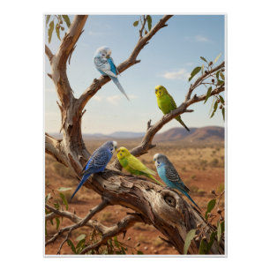 Kleurrijke Papegaaien Op Boomtak Tropische Vogels Perfect Poster