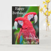 Kleurrijke papegaaien verjaardag wenskaart kaart (Gele Bloem)