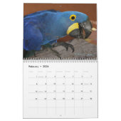 Kleurrijke papegaaikalender kalender (Feb 2026)