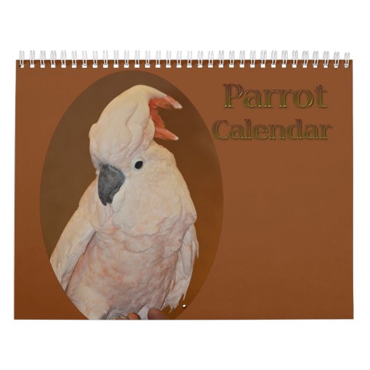 Kleurrijke papegaaikalender kalender (Hoes)