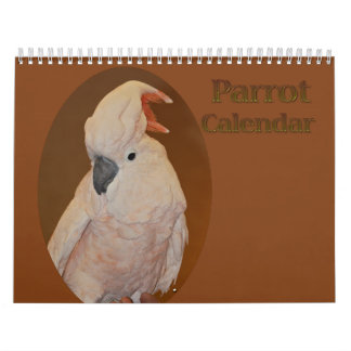 Kleurrijke papegaaikalender kalender