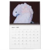 Kleurrijke papegaaikalender kalender (Mar 2027)