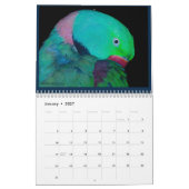 Kleurrijke papegaaikalender kalender (Jan 2027)