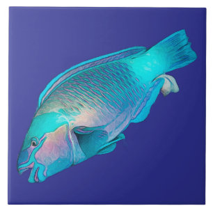 Kleurrijke Papegaaivis Oceaanblauwe Zee Tegeltje