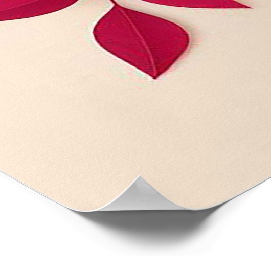 Kleurrijke papieren bloemen poster (Hoek)