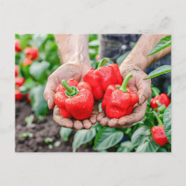 Kleurrijke paprika's en chili mix feestdagenkaart