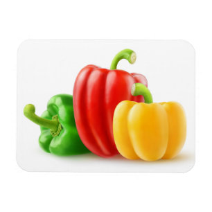 Kleurrijke paprika's magneet