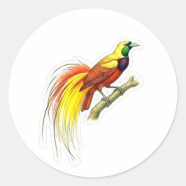Kleurrijke Paradijsvogel Kunst - Iconische Indones Ronde Sticker