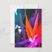 Kleurrijke Paradijsvogelbloem RSVP Kaartje (Achterkant)