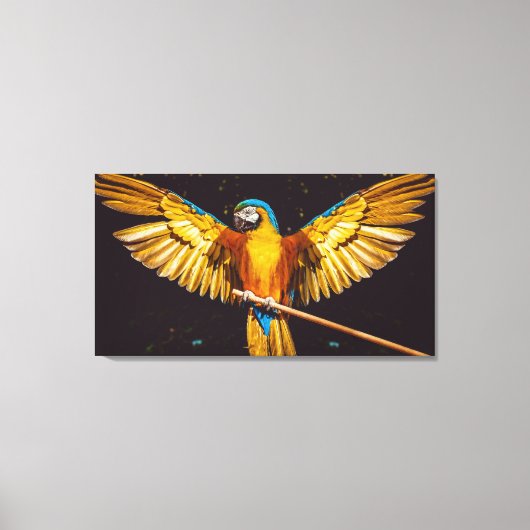 Kleurrijke paraket Winged Bird Canvas Afdrukken (Voorkant)