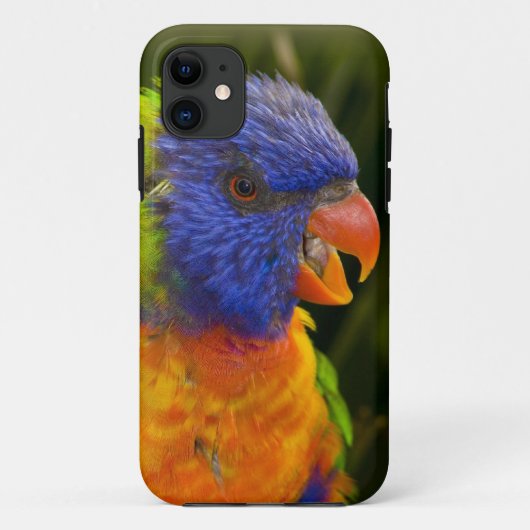 Kleurrijke parkiet Case-Mate iPhone case (Achterkant)