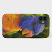 Kleurrijke parkiet Case-Mate iPhone case (Achterkant (horizontaal))
