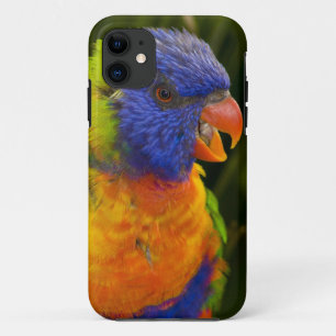 Kleurrijke parkiet iPhone 11 hoesje