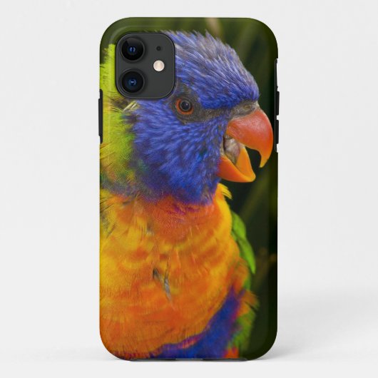 Kleurrijke parkiet Case-Mate iPhone case (Achterkant)