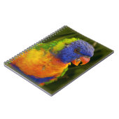 Kleurrijke parkiet notitieboek (Linkerzijde)