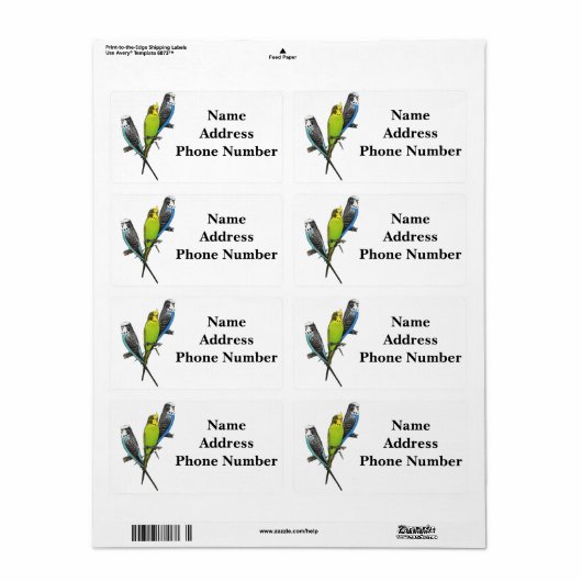 Kleurrijke Parkieten Afbeelding Etiket (Full Sheet)