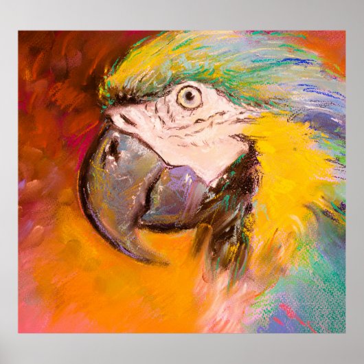 Kleurrijke Parrot Pastelschilderij Poster (Voorkant)