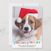Kleurrijke passief Merry Custom Pet Dog Foto Feestdagenkaart (Voorkant)