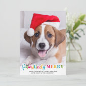 Kleurrijke passief Merry Custom Pet Dog Foto Feestdagenkaart (Staand voorkant)