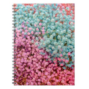Kleurrijke Pastel Gipsbloem Baby's Adem Bloemen Pa Notitieboek