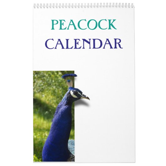 Kleurrijke Pauw 2025 Kalender (Hoes)