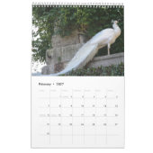 Kleurrijke Pauw 2025 Kalender (Feb 2027)