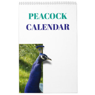 Kleurrijke Pauw 2027 Kalender