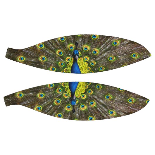 Kleurrijke pauw basketbal