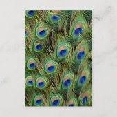 Kleurrijke pauw bruiloft details informatiekaartje (Achterkant)