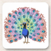 Kleurrijke Pauw Illustratie met Elegante Veer Bier Onderzetter (Voorkant)