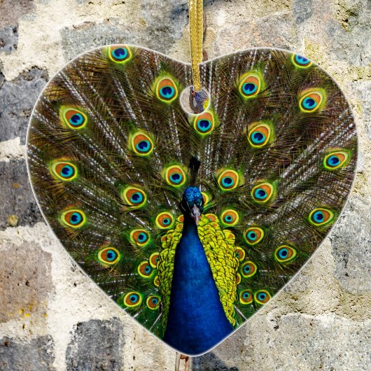 Kleurrijke pauw keramisch ornament