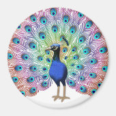 Kleurrijke Pauw Magneet (Voorkant)