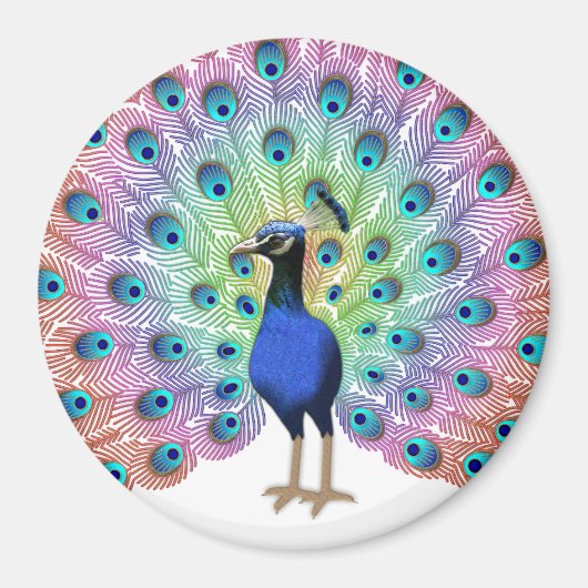 Kleurrijke Pauw Magneet (Voorkant)