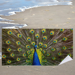 Kleurrijke pauw strandlaken