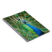 Kleurrijke pauwenvogel notitieboek (Rechterzijde)