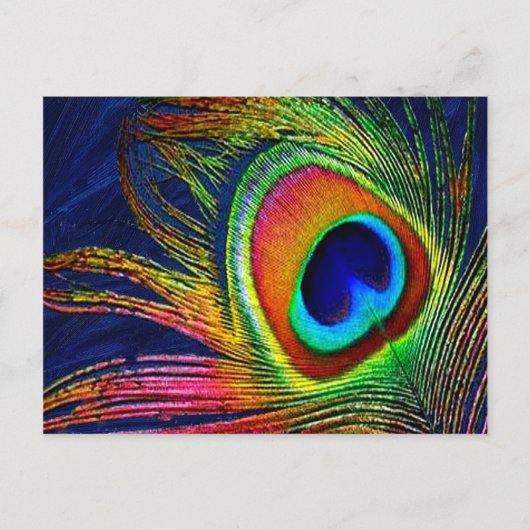 Kleurrijke Pauwveerprint Briefkaart (Voorkant)
