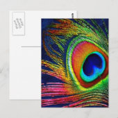 Kleurrijke Pauwveerprint Briefkaart (Voorkant / Achterkant)