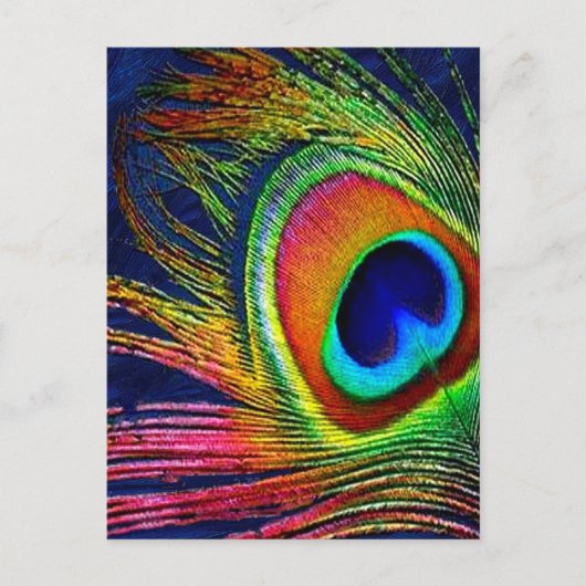 Kleurrijke Pauwveerprint Briefkaart (Voorkant)