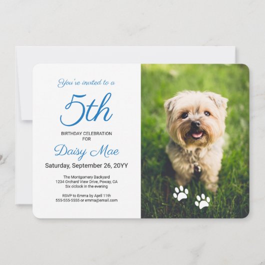 Kleurrijke Paw Prints Blauw Huisdier Verjaardag Fo Kaart (Voorkant)