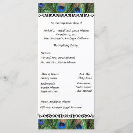 Kleurrijke Peacock Feather Wedding Program Programmakaart