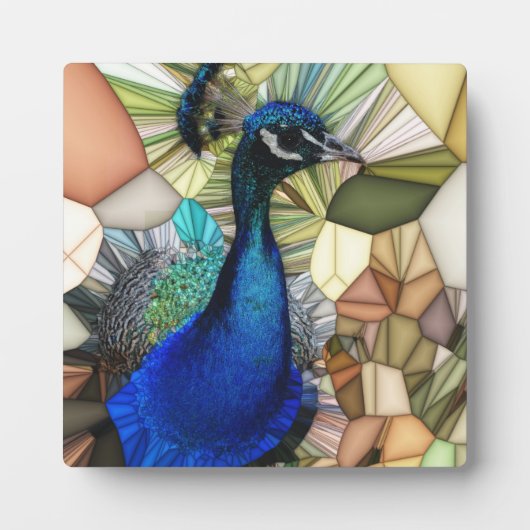 Kleurrijke Peacock Mosaic Plaque met Easel Fotoplaat (Voorkant)