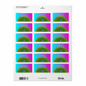 Kleurrijke Peacock Regenboog Kleuren Vogel Psyched Etiket (Full Sheet)