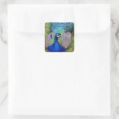 Kleurrijke Peafowl Stickers (Tas)